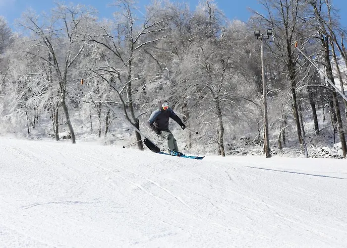 Seven Springs Stoneridge 3 Bedroom Standard Condo, Walking Distance To Slopes! Condo